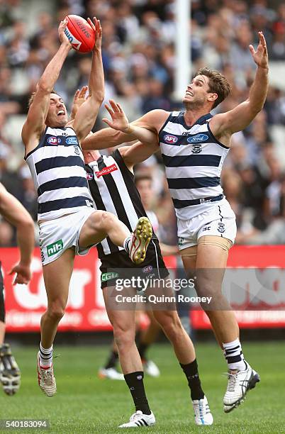 Daniel Menzel of the Cats marks during the round nine AFL match between the Collingwood Magpies and the Carlton Blues at Melbourne Cricket Ground on...