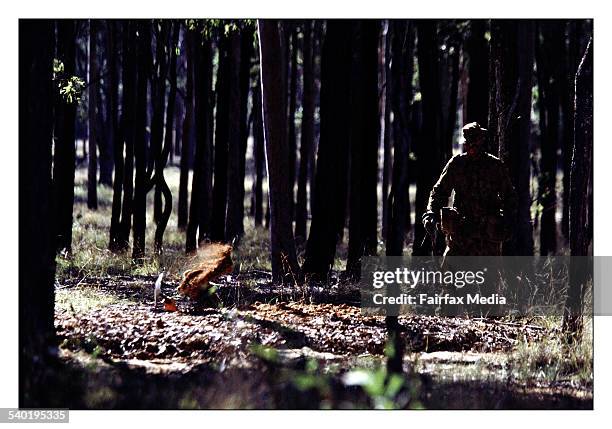 Singleton Base 123 Singleton Army Base Stock Photos, High-Res Pictures, and Images ...