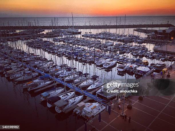 herzliya marina während dem sonnenuntergang, israel - herzliya marina stock-fotos und bilder