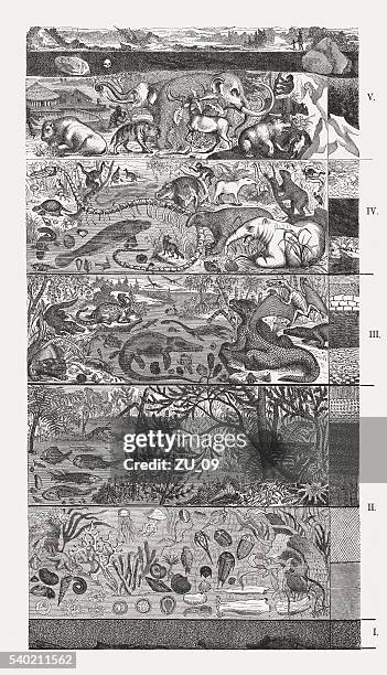illustrations, cliparts, dessins animés et icônes de échelle des temps géologiques, des gravures, publié en 1872 - ordovician period