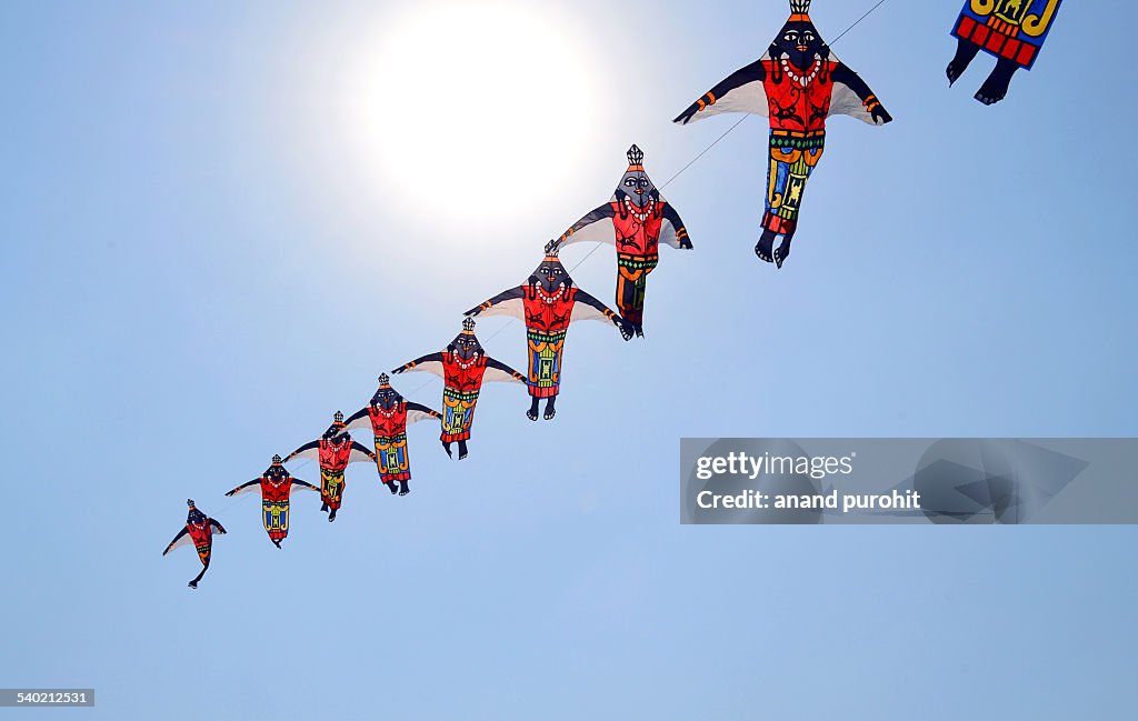 Kites, Gujarat, India