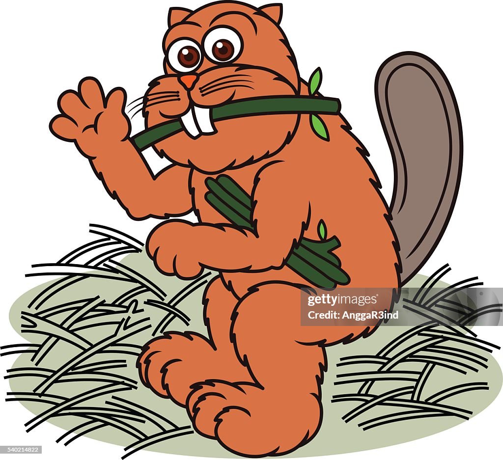 Beaver Cartoon with Twigs