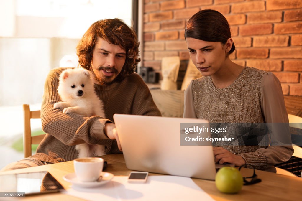 Young smiling couple with puppy surfing the internet on laptop.