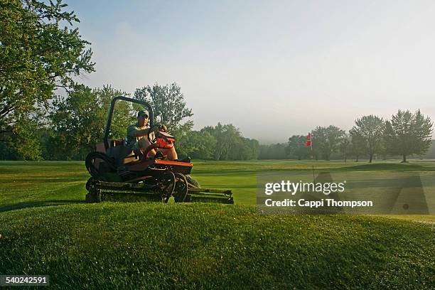 man mowing around green on golf course - idrottsplatspersonal bildbanksfoton och bilder