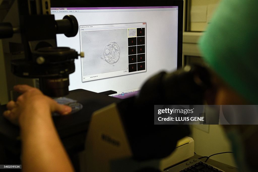 SPAIN-EU-HEALTH-FERTILITY-RIGHTS