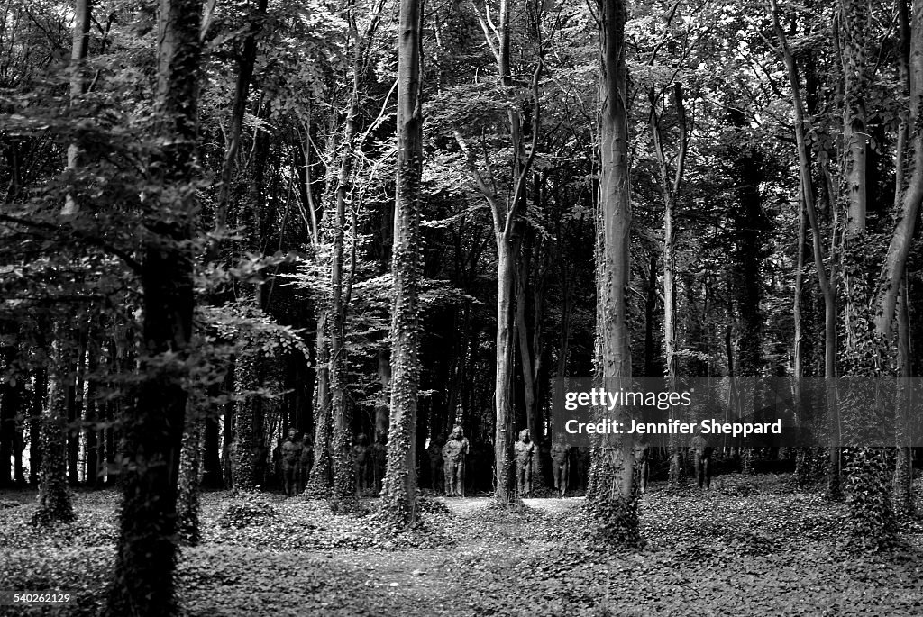 Sculpture Figures Amongst Trees