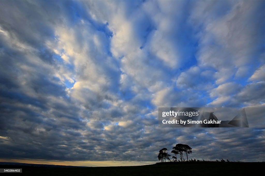 Spectacular Sunset Silhouette