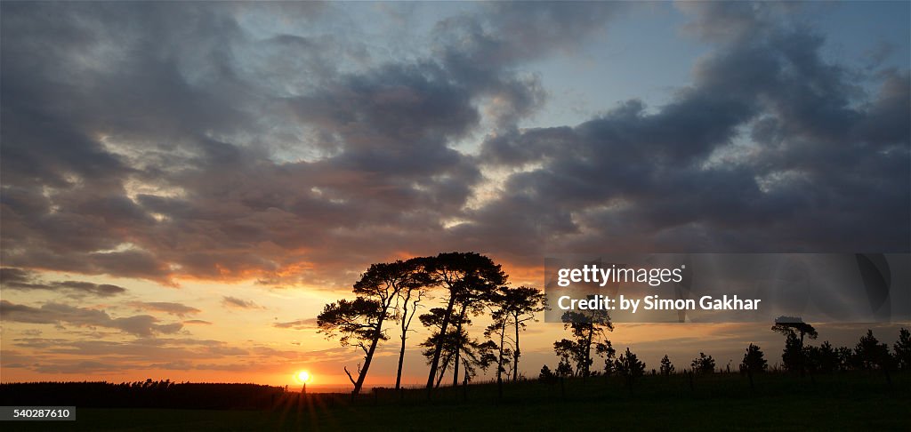 Spectacular Sunset Silhouette