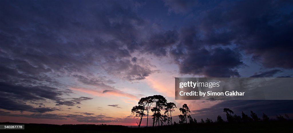 Spectacular Sunset Silhouette