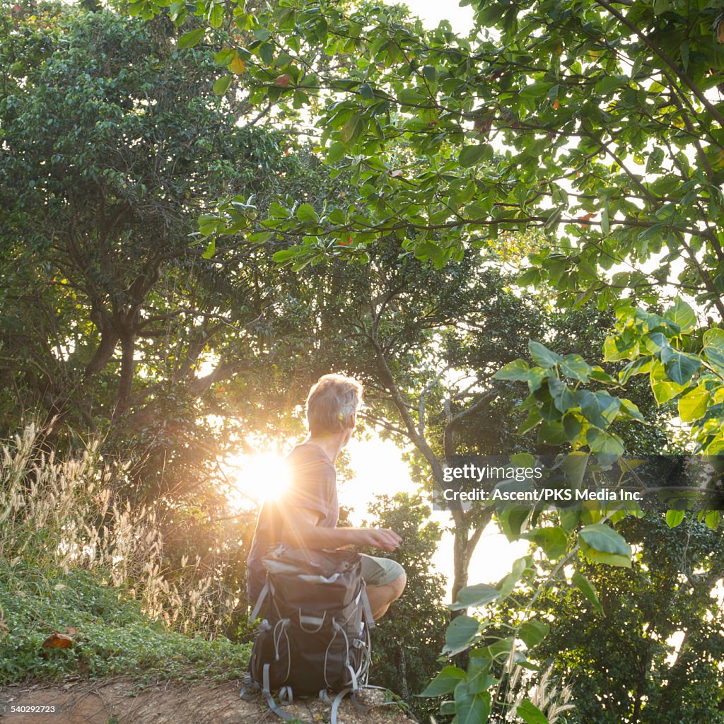 Hiker pauses under jungle canopy, looks to sunrise