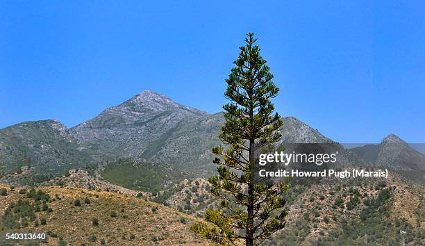 the mountains of frigiliana, spain - acueducto stock pictures, royalty-free photos & images