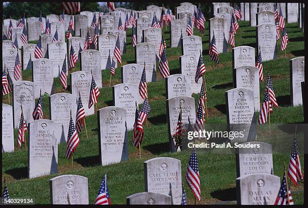 american flags and grave markers - happy memorial day stock pictures, royalty-free photos & images