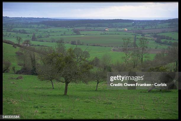 Green countryside called the Falaise Pocket, Normandy, France. The Falaise Pocket was the scene of the final battles of Normandy in August, 1944.