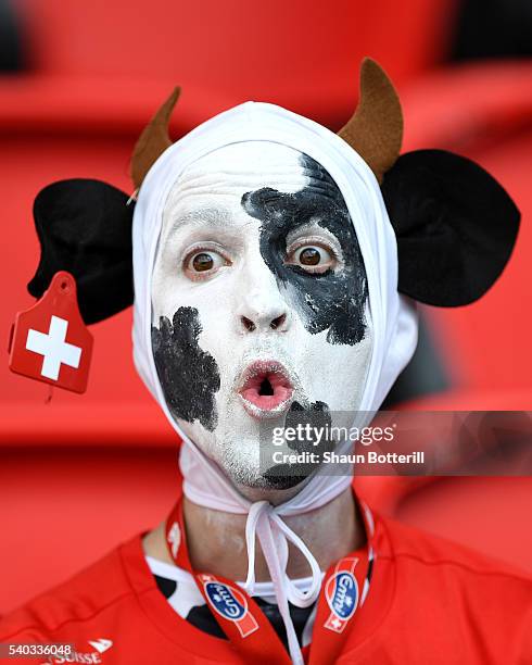 Swiss supporter looks on during the UEFA EURO 2016 Group A match between Romania and Switzerland at Parc des Princes on June 15, 2016 in Paris,...