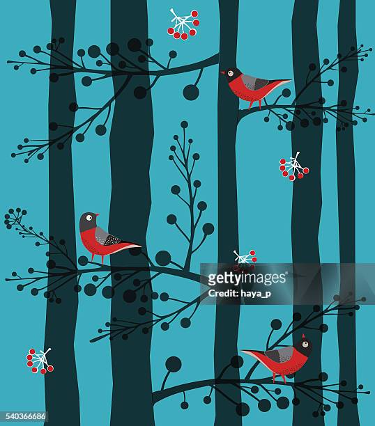 vögel sitzen auf dem baum, wald, winter - bird on a tree stock-grafiken, -clipart, -cartoons und -symbole
