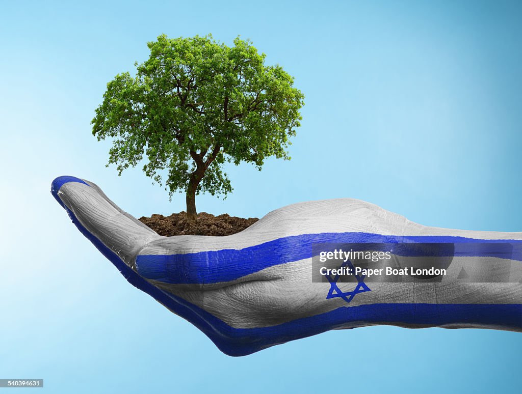 Hand with flag of Israel holding a tree
