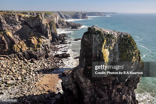 96 Castlemartin Pembrokeshire Stock Photos, High-Res Pictures, and ...