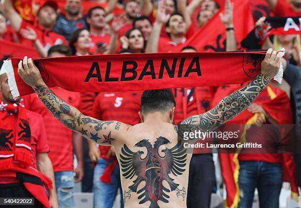 An Albania fan shows off his body art prior to the UEFA EURO 2016 Group A match between France and Albania at Stade Velodrome on June 15, 2016 in...