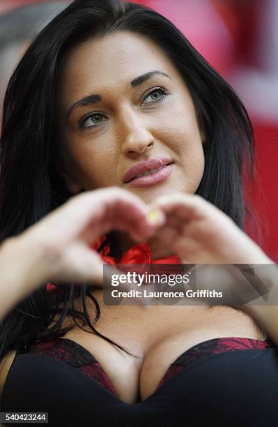 Supporter looks on during the UEFA EURO 2016 Group A match between France and Albania at Stade Velodrome on June 15, 2016 in Marseille, France.