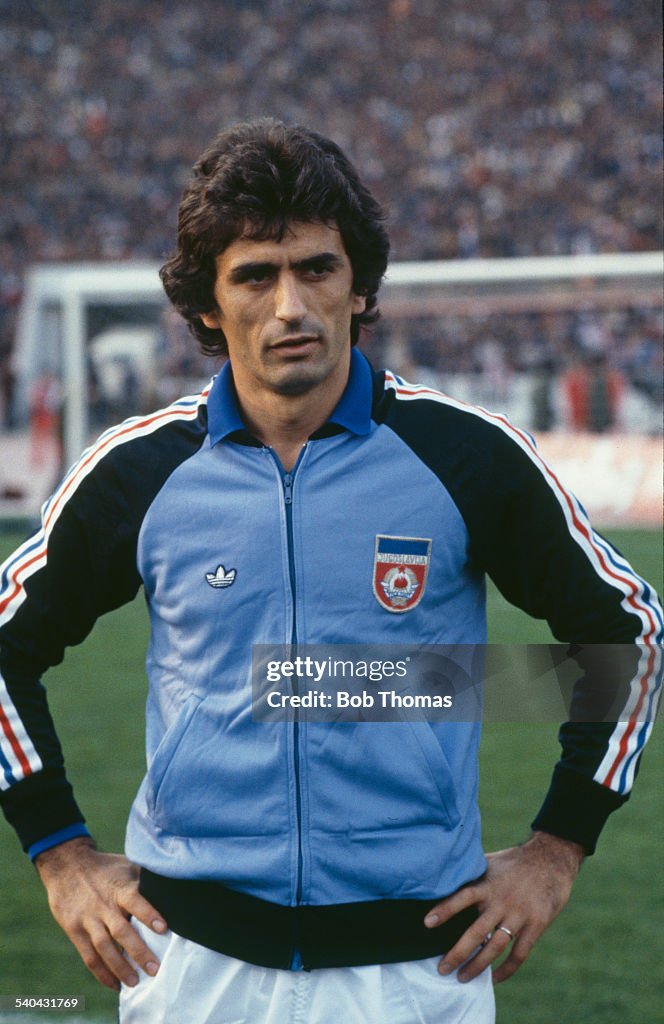 Vahid Halilhodzic