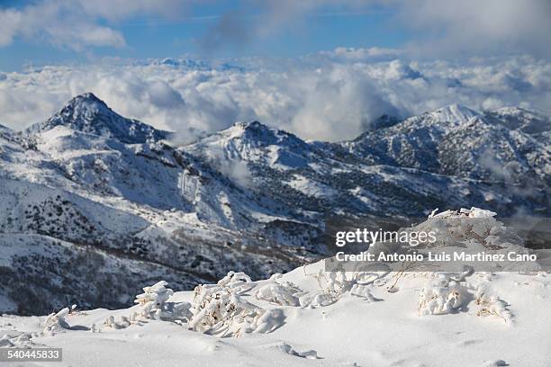 snowfall in sierra nevada - granada spanien stock-fotos und bilder