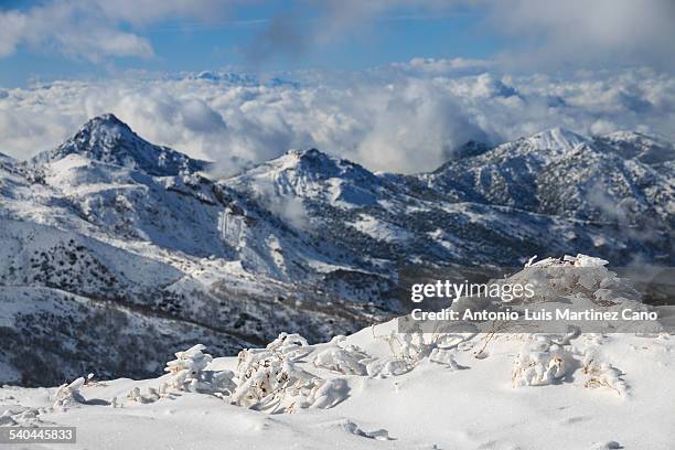 snowfall in sierra nevada - granada spain stock pictures, royalty-free photos & images