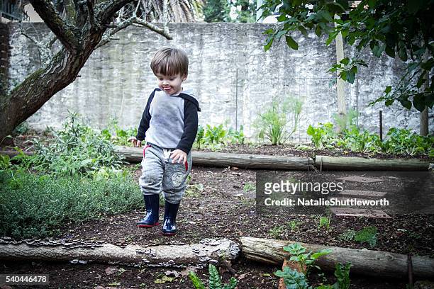 walking in the vegetable garden - stamping feet stock pictures, royalty-free photos & images
