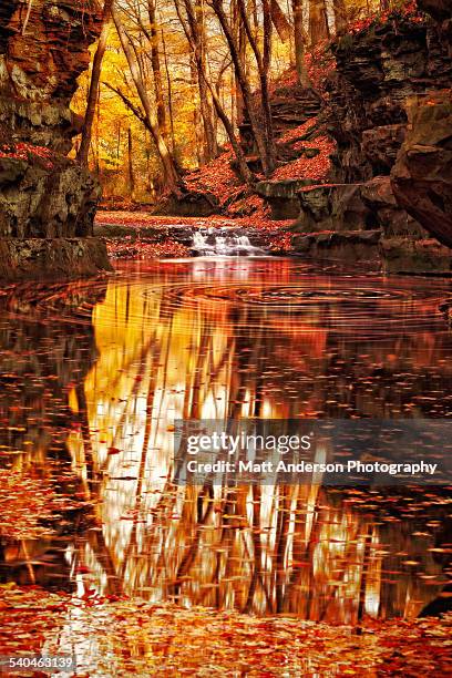 Wisconsin Fall Reflections Wisconsin Waterfalls Photos and Premium High Res Pictures - Getty Images