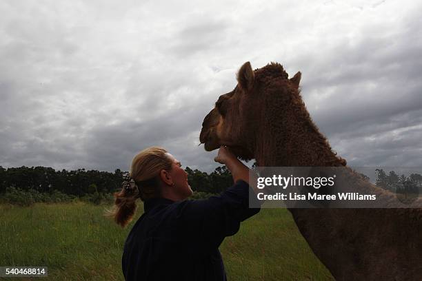 Owner Lauren Brisbane interacts with a pregnant camel at QCamel on April 5, 2016 in Sunshine Coast, Australia. QCamel, founded by Lauren Brisbane and...