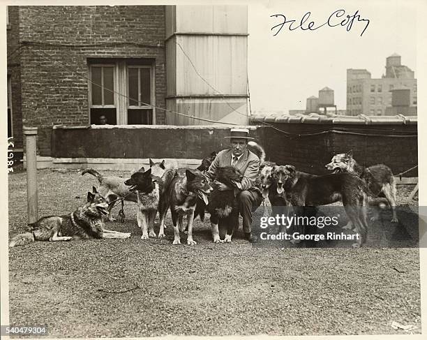 Just after their arrival in New York, today to fill an vaudeville engagement photo shows Gunnar Kassan, with his Huskies, that took the anti-toxin to...