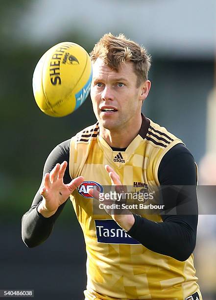 Sam Mitchell of the Hawks catches the ball during a Hawthorn Hawks AFL training session at Waverley Park on June 16, 2016 in Melbourne, Australia.