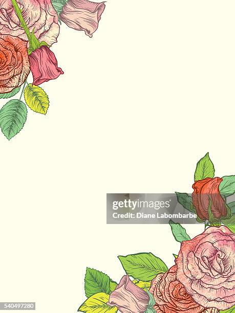 botanical roses in top left corner and bottom right - rose petals stock illustrations