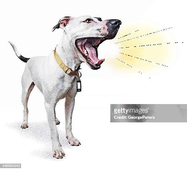 lustige hund rufen ankündigung - terrier stock-grafiken, -clipart, -cartoons und -symbole