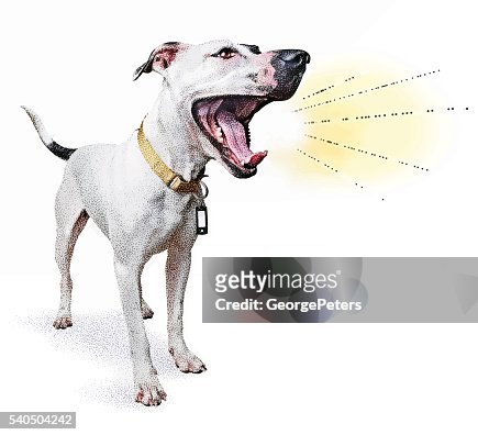 490点の犬 吠えるイラスト素材 Getty Images