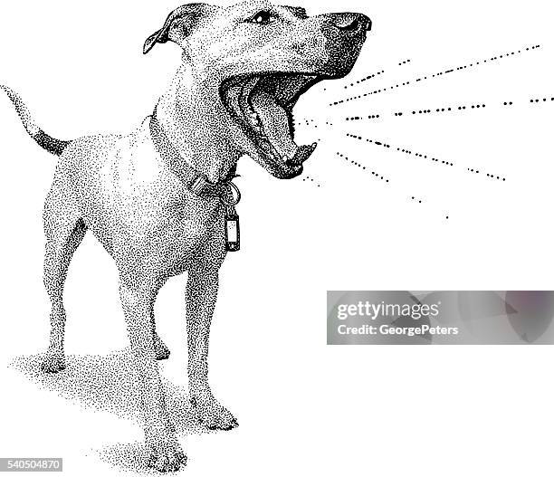 illustrations, cliparts, dessins animés et icônes de funny dog crier annonce - aboiement