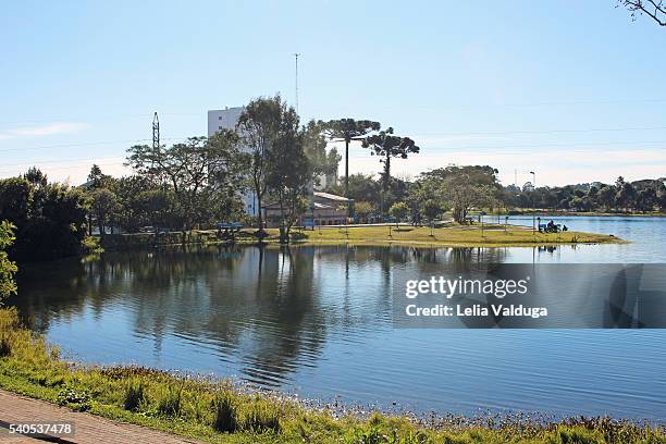parque da cidade,  caxias do sul - rs - brazil - vista da cidade stock pictures, royalty-free photos & images