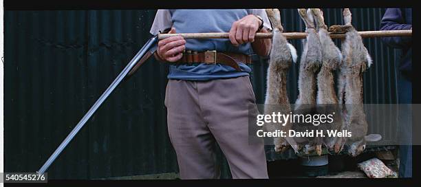 Olden Days Rabbit Catching 73 Rabbit 1997 Stock Photos, High-Res Pictures, and Images - Getty Images