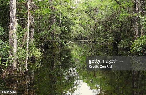 19 Sweetwater Beach Stock Photos, High-Res Pictures, and Images - Getty ...