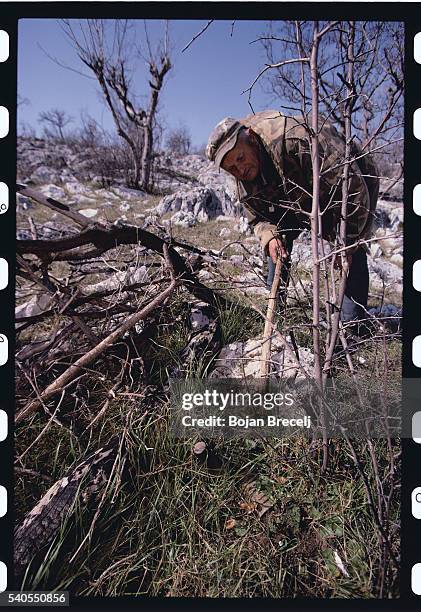 Prodding Def Prodding Photos and Premium High Res Pictures - Getty Images
