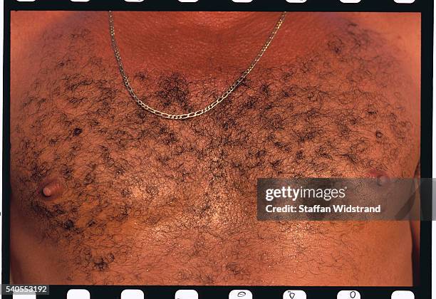 a pantanal cowboy's bare chest - pelo do corpo - fotografias e filmes do acervo