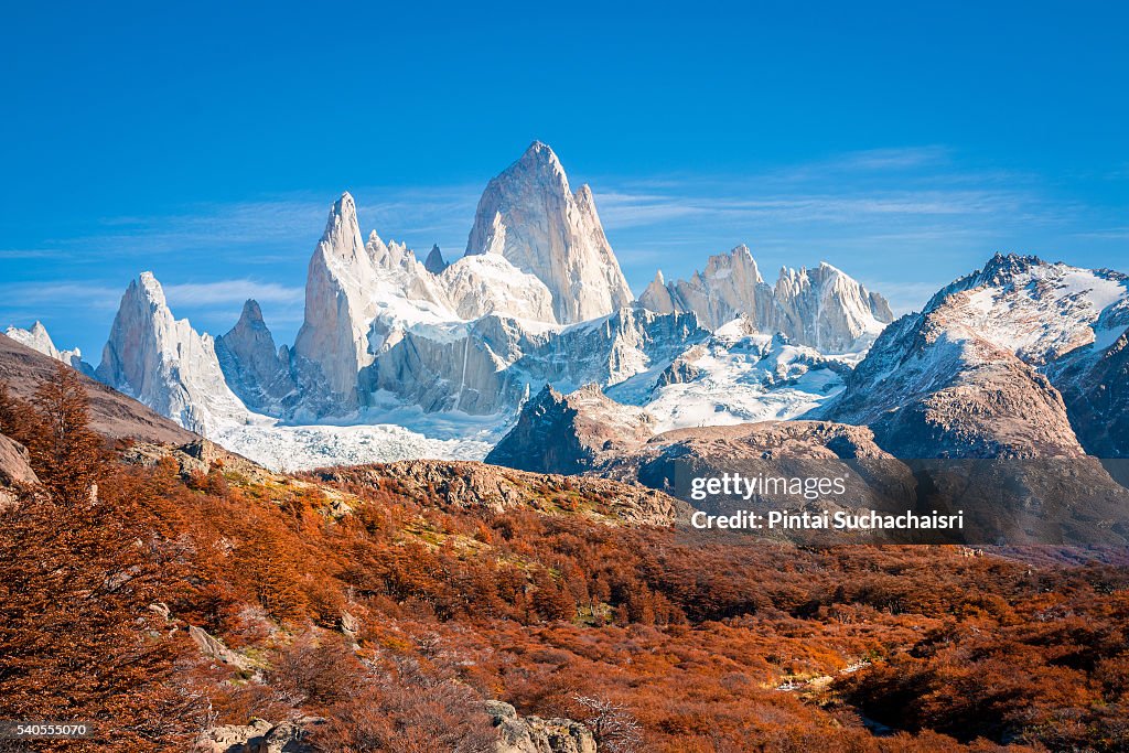 Fitz Roy Peak Surrounded by Autumn Colors