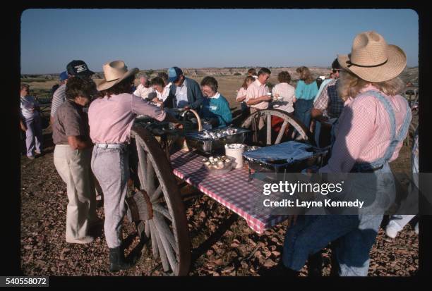picnic at theodore roosevelt national park - parc national théodore roosevelt photos et images de collection