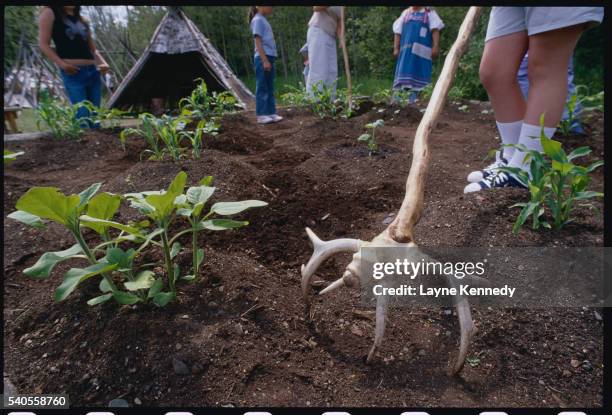 Ancient Antler Rake Grand Portage National Monument Photos and Premium High Res Pictures ...