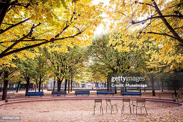 luxembourg park in beautiful autumn season - リュクサンブール公園 ストックフォトと画像