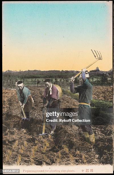 Preparing ground for planting rice plants.