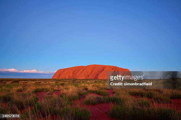 the colours of uluru at dusk - uluru rock stock pictures, royalty-free photos & images