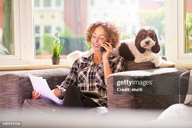 el pago seguro para mascotas - insurance fotografías e imágenes de stock