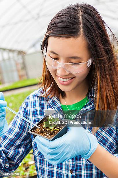 smiling biology student at work - students plant lab stock pictures, royalty-free photos & images