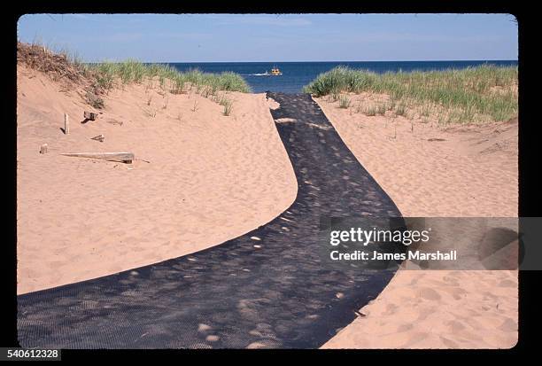 rubber netting acts as pathway to beach - parc national de l'île du prince édouard photos et images de collection