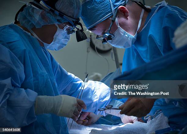 Transplant surgeon Peter Abrams and senior fellow Dr. Yong Kwon transplant a healthy kidney from Toni Badinger into Cynthia Decker at Medstar...